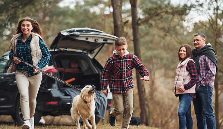 Michigan Life Insurance Coverage